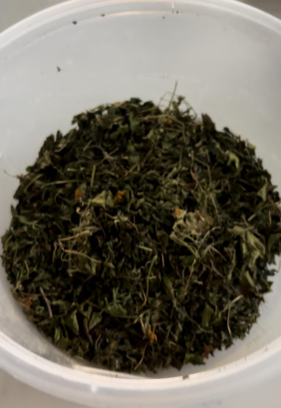 Cerasee Bush