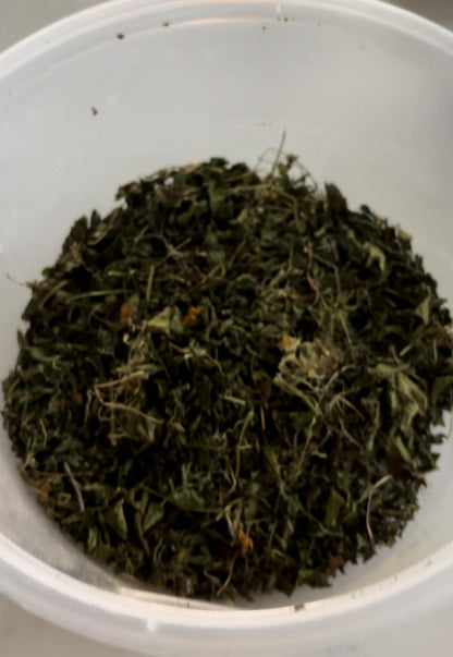 Cerasee Bush